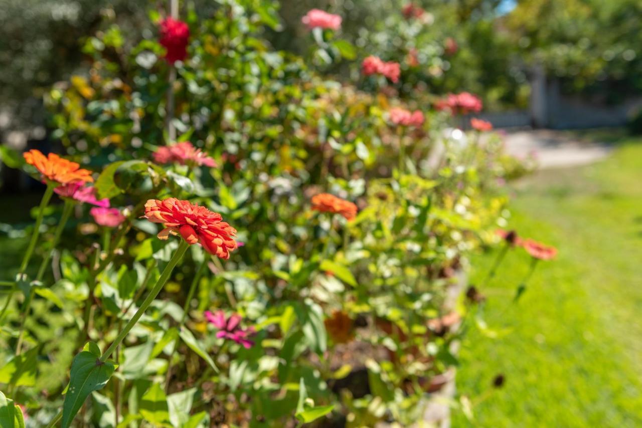 Blooming Memories Apartment Vourvourou Luaran gambar