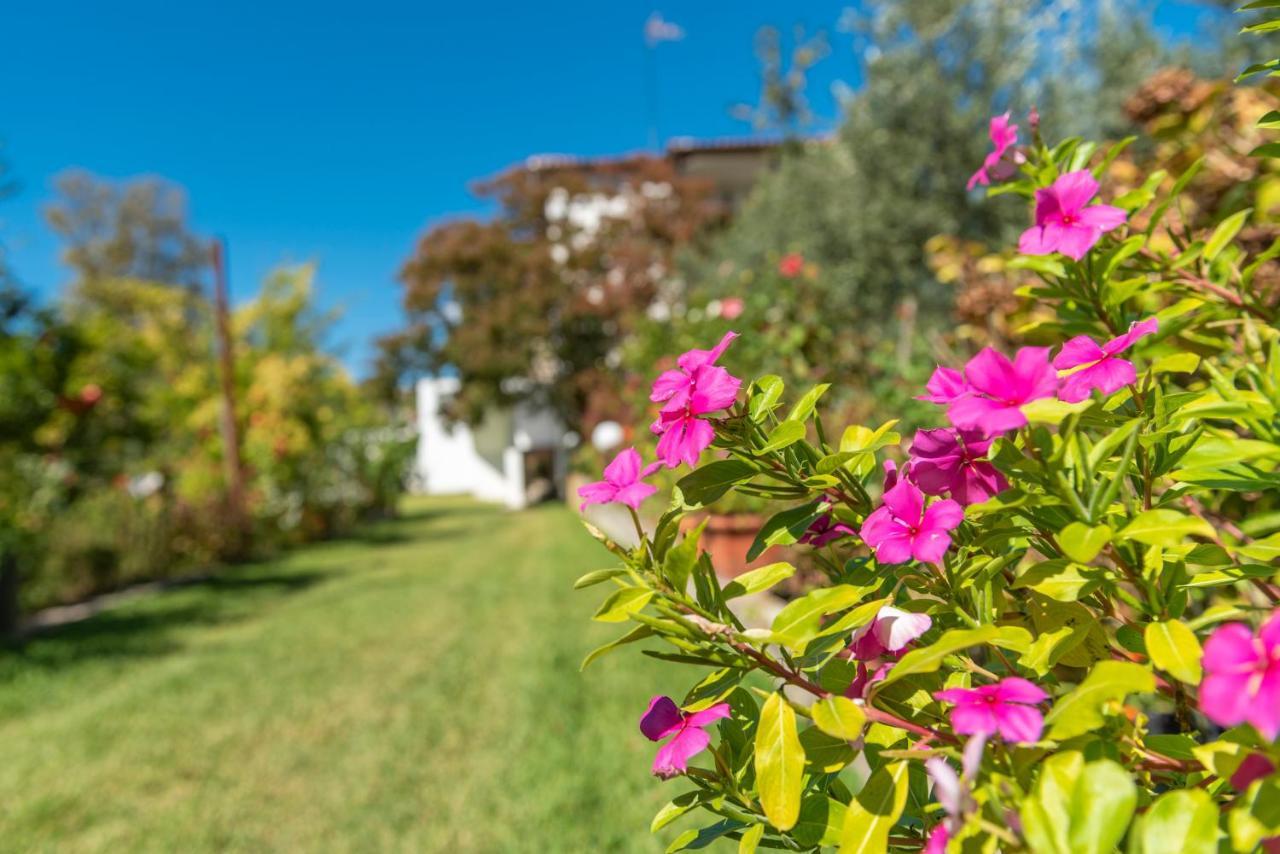 Blooming Memories Apartment Vourvourou Luaran gambar